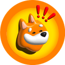 Bonk Coin